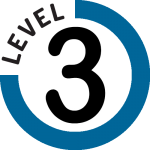 level 3